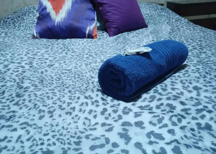 Departamento Amoblado Pueyrredon